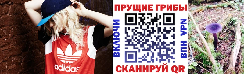 Псилоцибиновые грибы прущие грибы  Купить  Протвино 